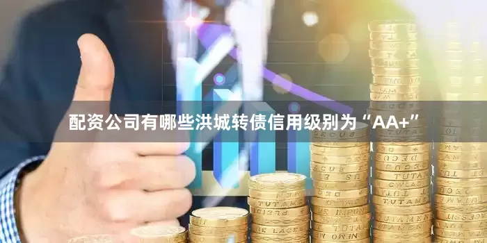 配资公司有哪些洪城转债信用级别为“AA+”