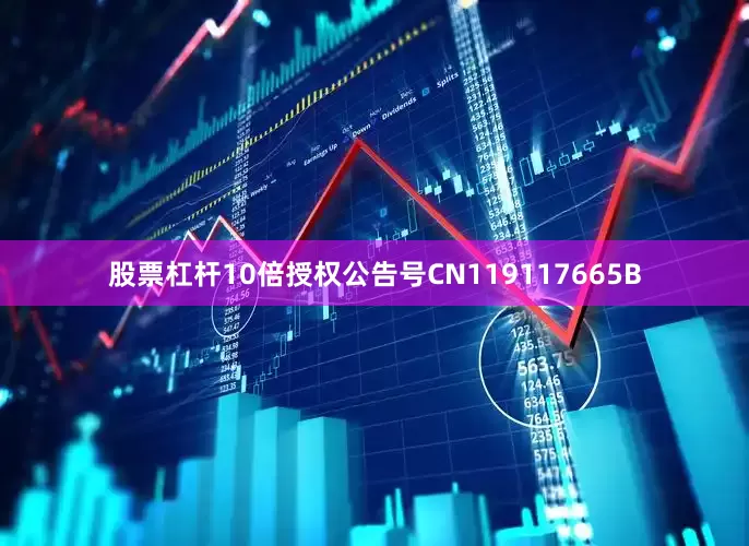 股票杠杆10倍授权公告号CN119117665B