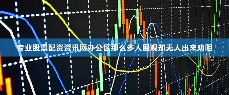 专业股票配资资讯网办公区那么多人围观却无人出来劝阻