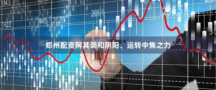 郑州配资网其调和阴阳、运转中焦之力