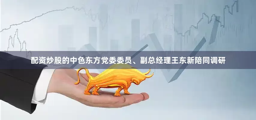 配资炒股的中色东方党委委员、副总经理王东新陪同调研