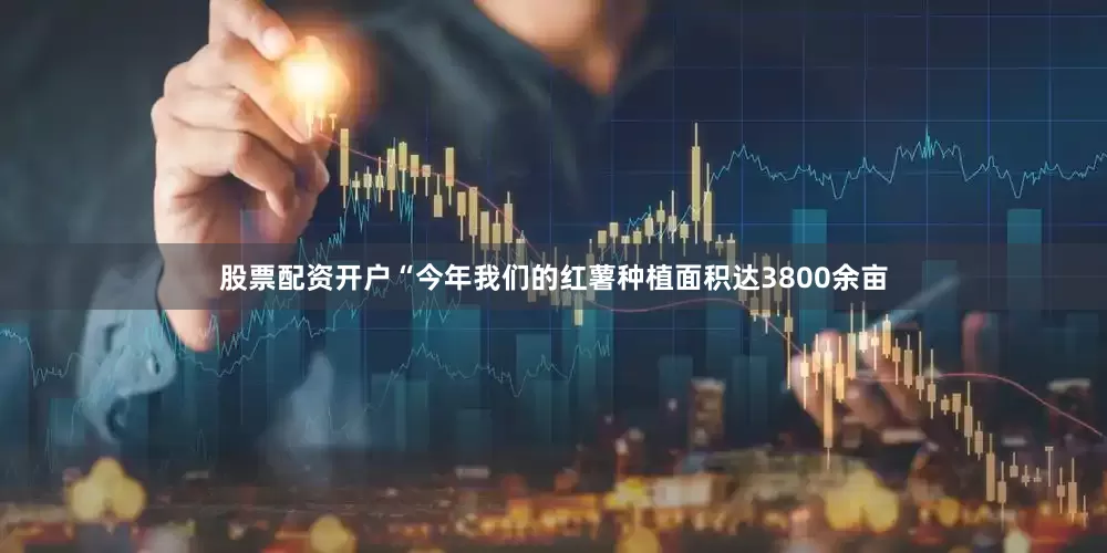 股票配资开户　　“今年我们的红薯种植面积达3800余亩